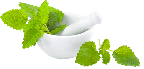 Nutrition Blends Nutrition Blends - Official Site - Nutrition Blends Nutrition Blends - Official Site -