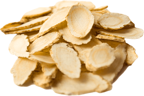 Nutrition Blends Nutrition Blends - Official Site - Nutrition Blends Nutrition Blends - Official Site -